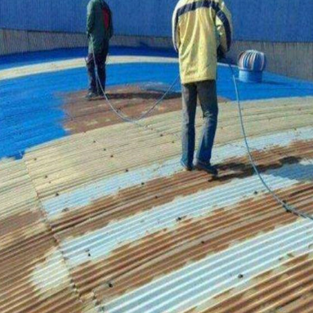沙湖原种场地面翻新与地坪漆施工流程